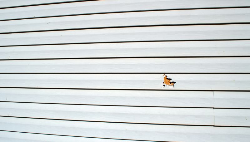 Building Siding Repair